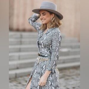 Zara snake print collared button down mini dress sz XS fall minimalist